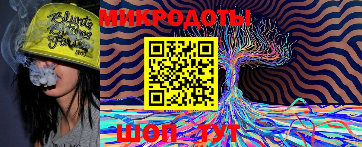 Клинцы  Галлюциногенные грибы Psilocybine cubensis  Вход с VPN 