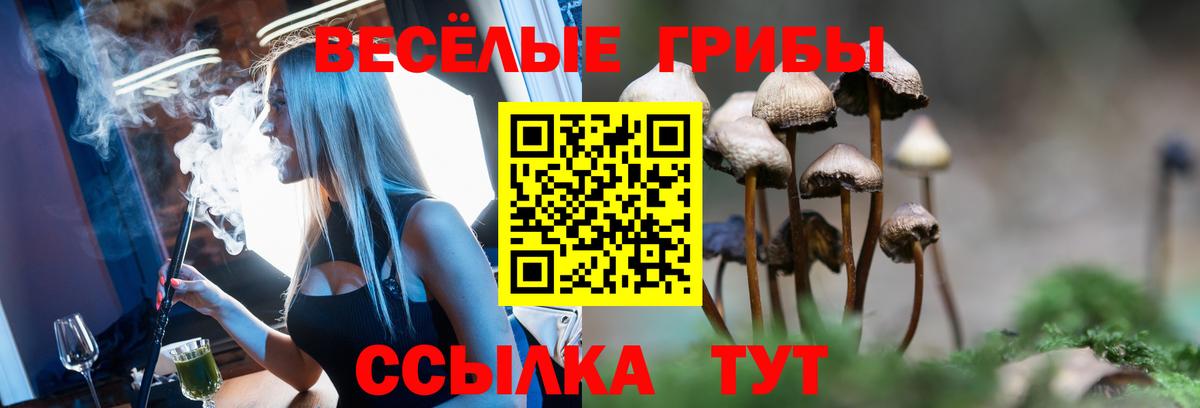 Псилоцибиновые грибы прущие грибы Клинцы